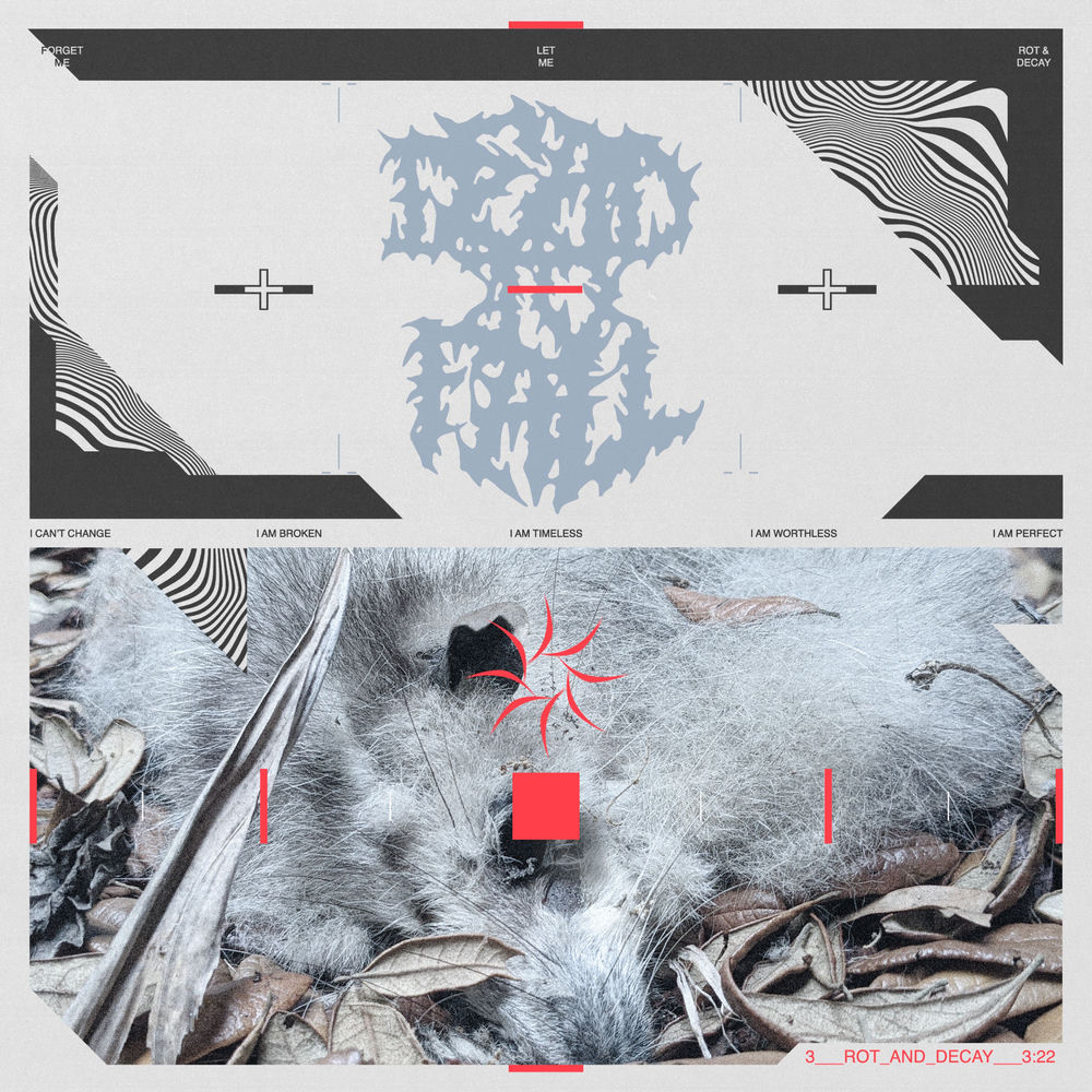 Rot & Decay cover