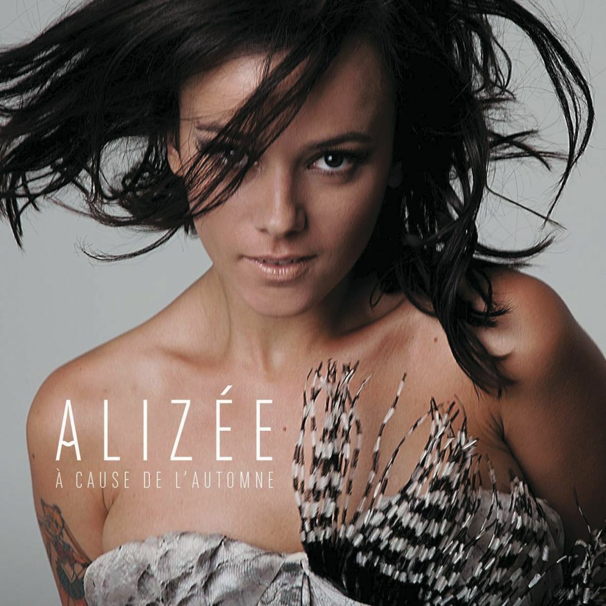 Album cover of A cause de l'automne