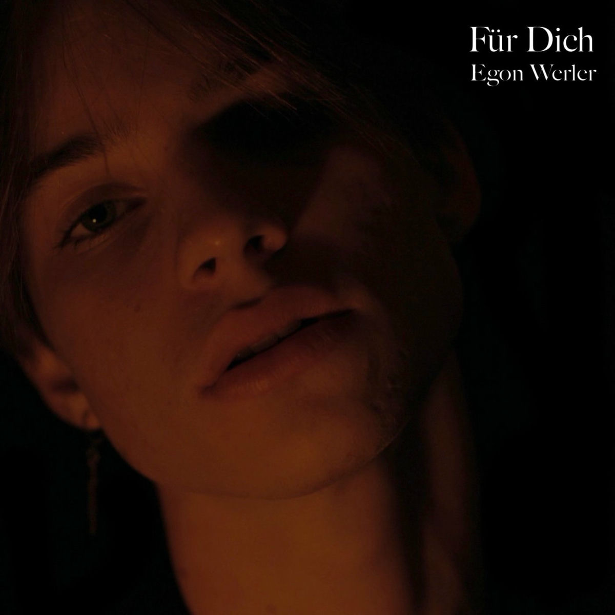 Album cover of Für Dich