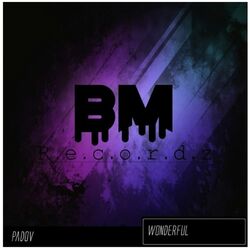 Cover of Wonderful