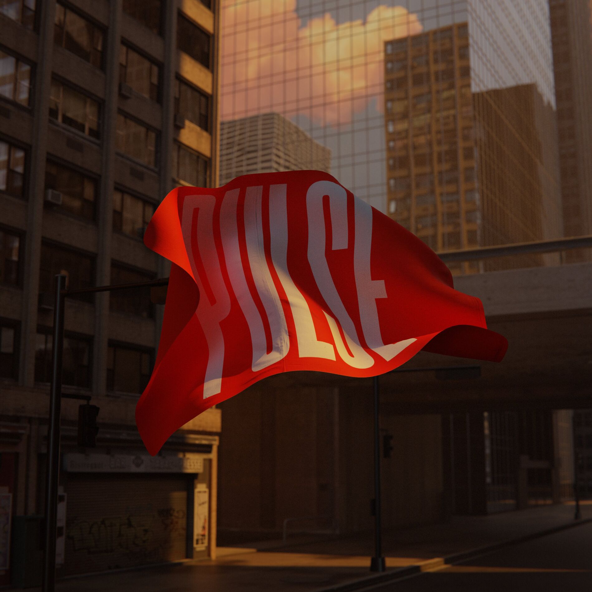 Album cover of Pulse