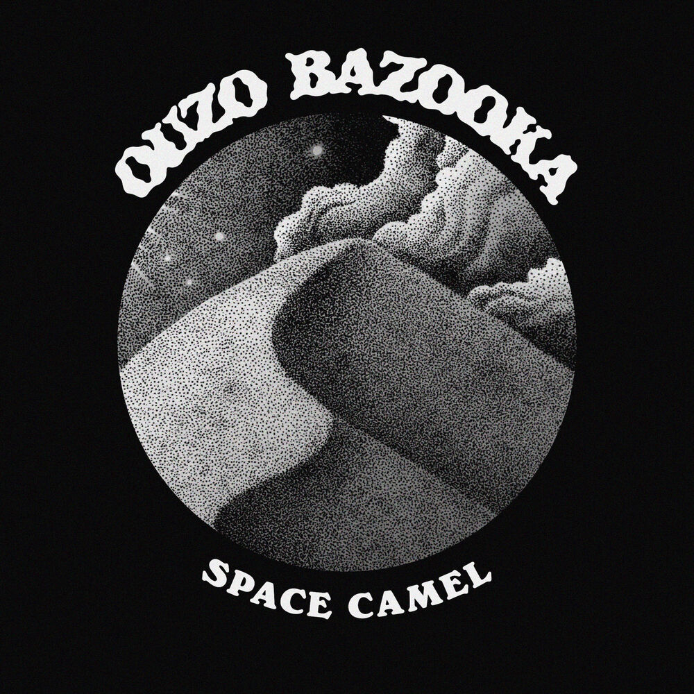 Picture of Space Camel