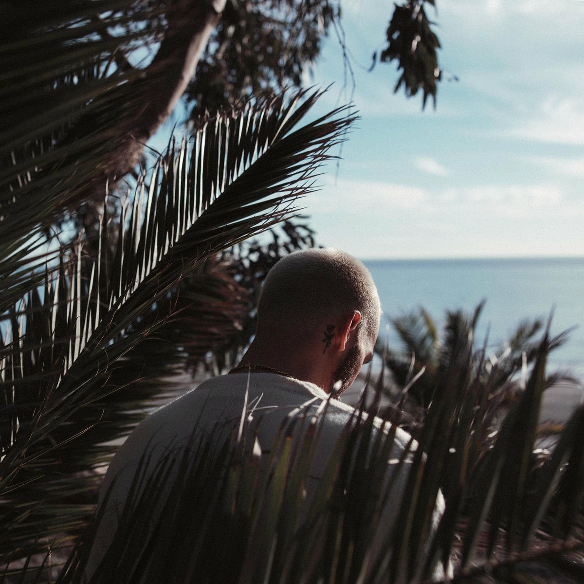 Album cover of Son of David (feat. Brandon Lake)