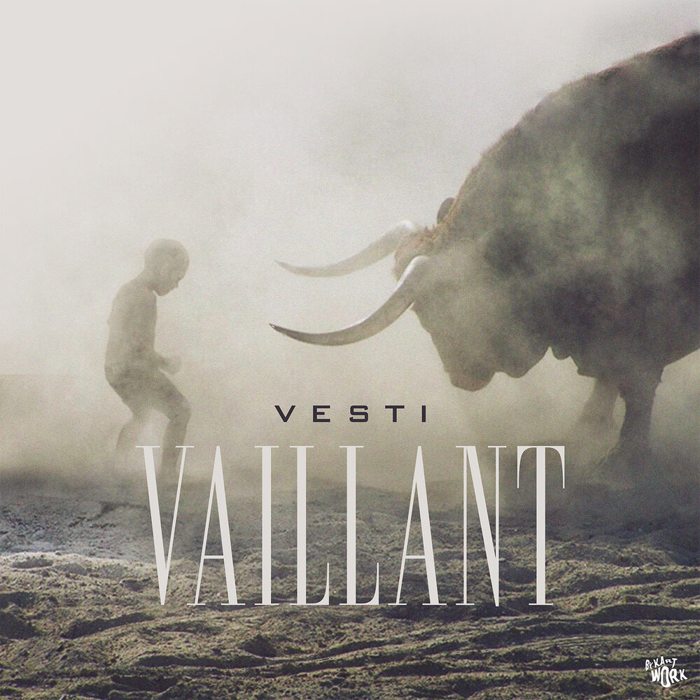 Picture of Vaillant