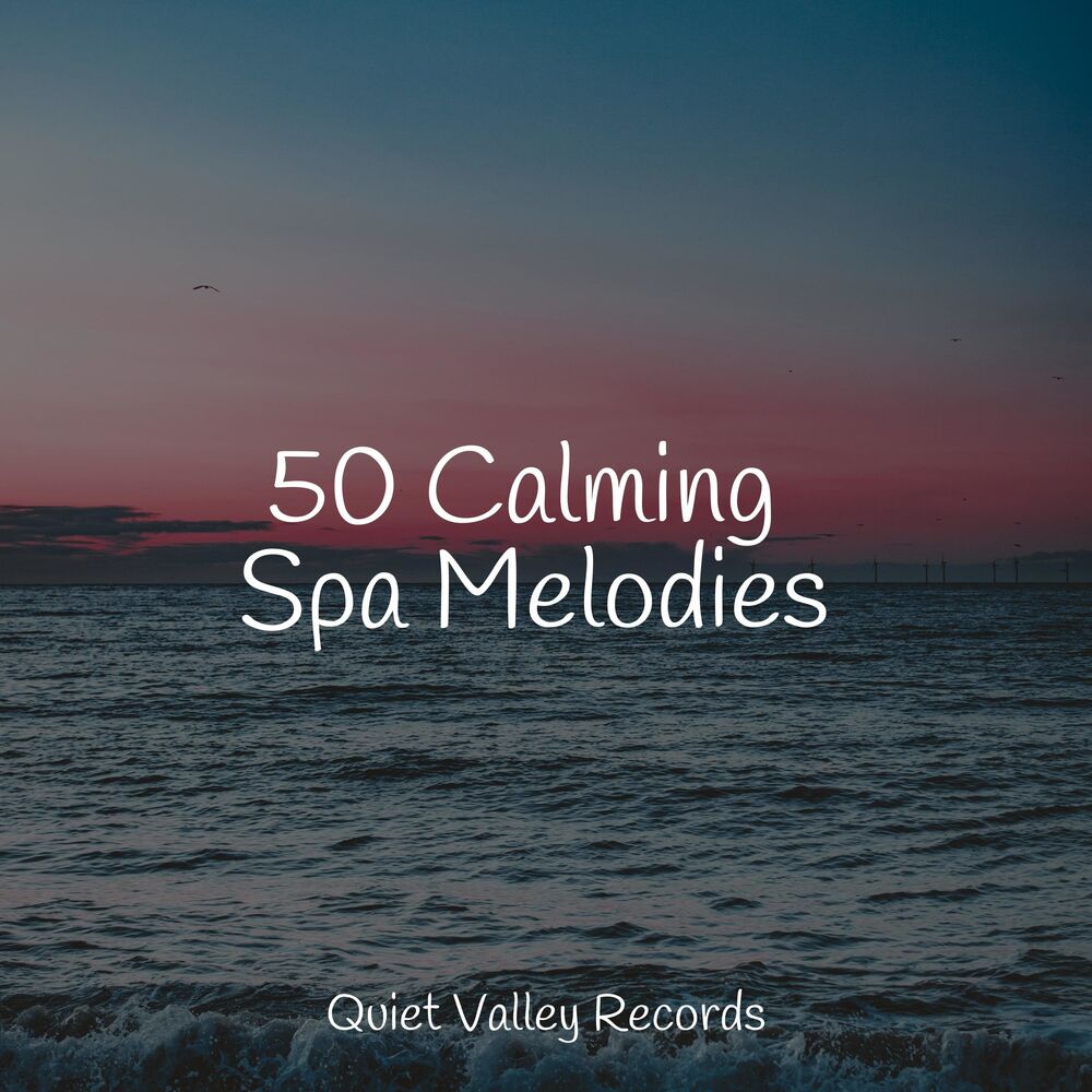 Picture of 50 Calming Spa Melodies