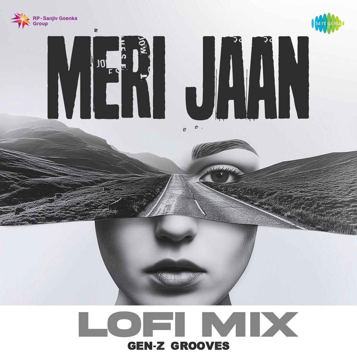 Album cover of Meri Jaan (Lofi Mix)