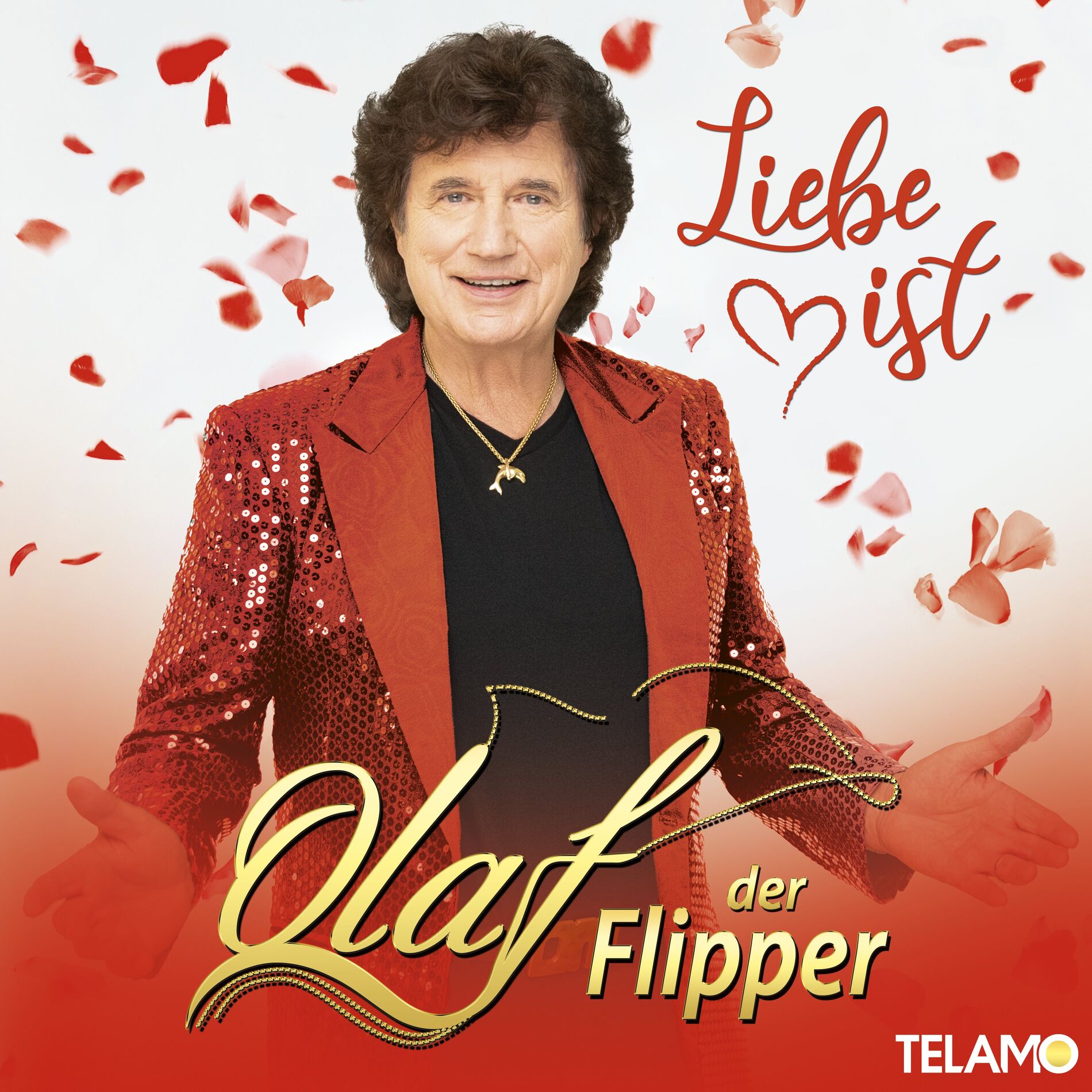 Album cover of Liebe ist