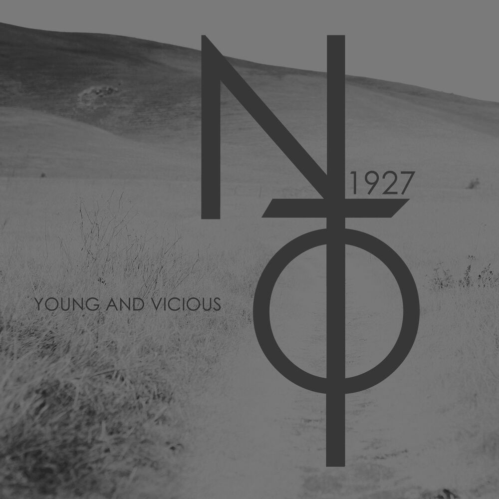 Picture of Young And Vicious