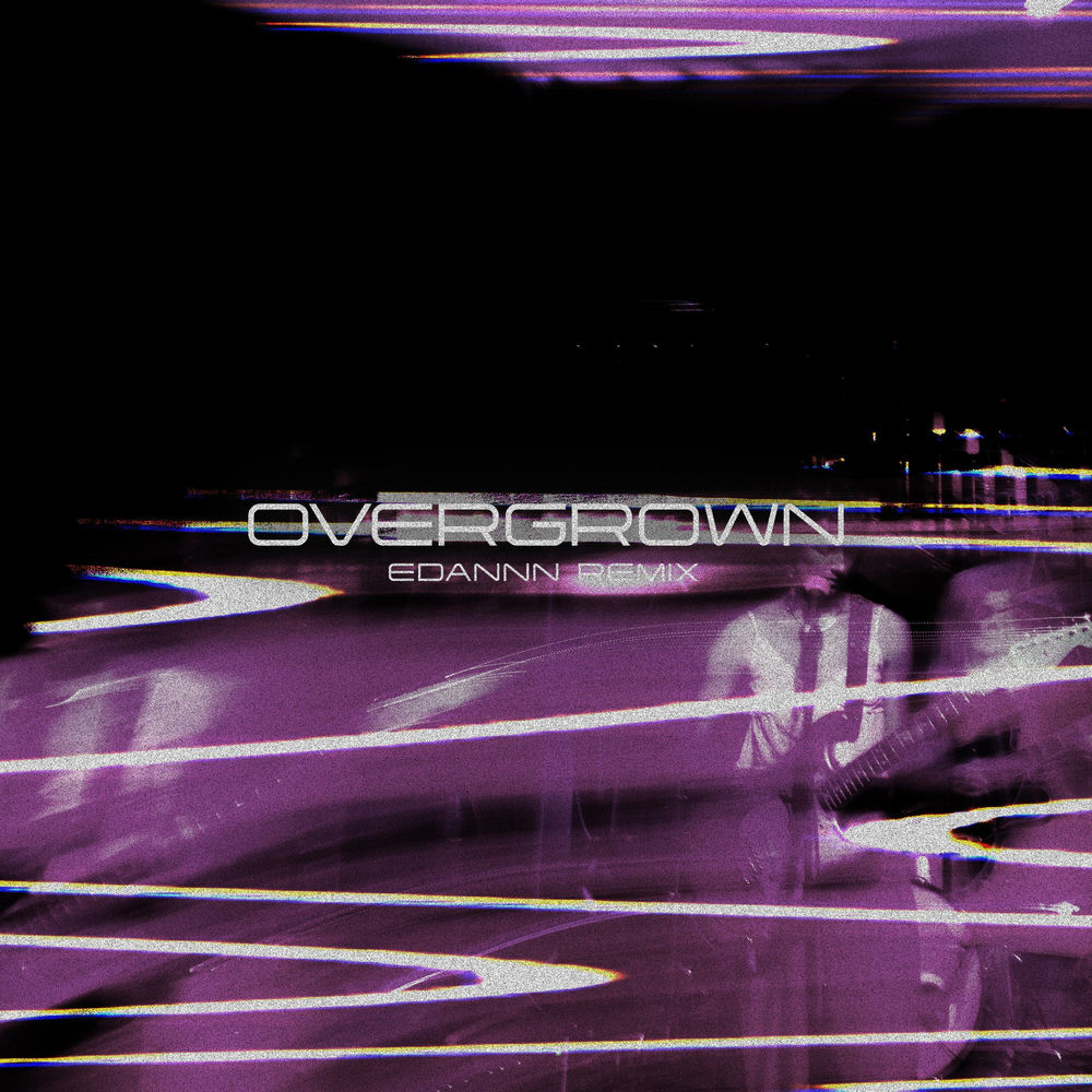 Overgrown (Edannn Remix) artwork