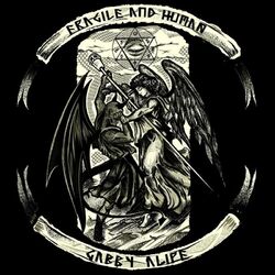 Cover of Fragile and Human