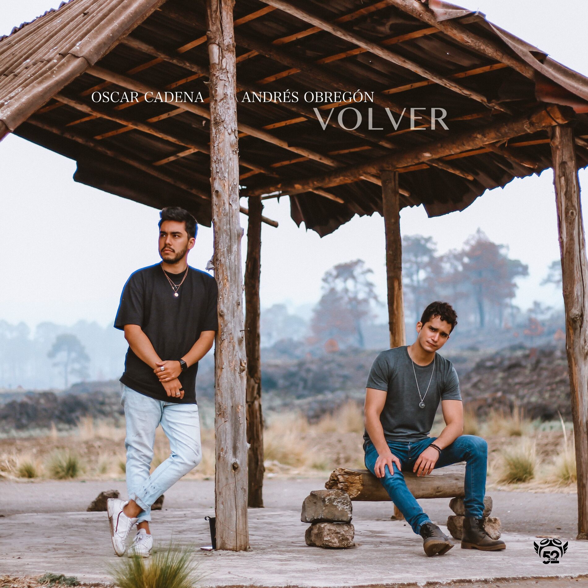 Album cover of Volver
