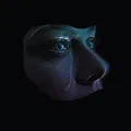 Let It Evolve