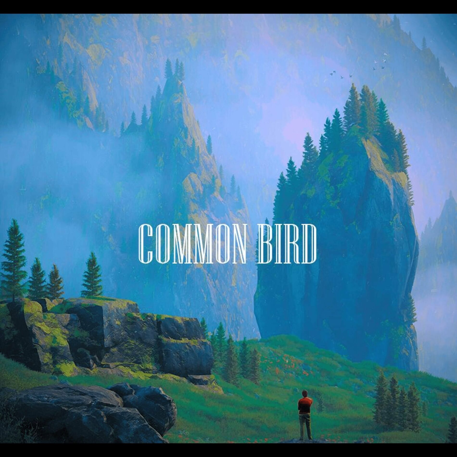 Album cover of Common Bird