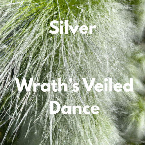 Wrath’s Veiled Dance