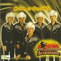 Cover of Como Es Possible