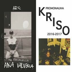 Cover of Promonauha / Aina valveilla