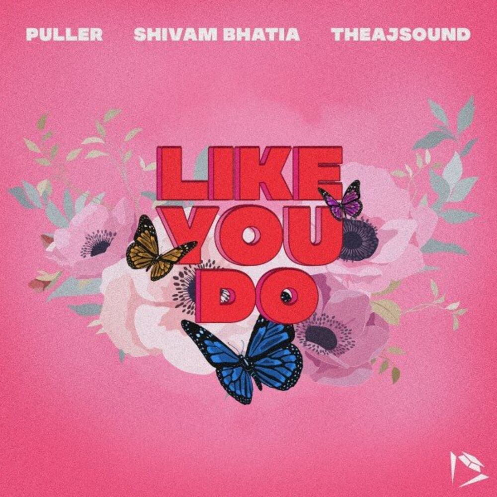 Picture of Like You Do