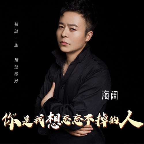 你是我想忘忘不掉的人 (0.8降速版)