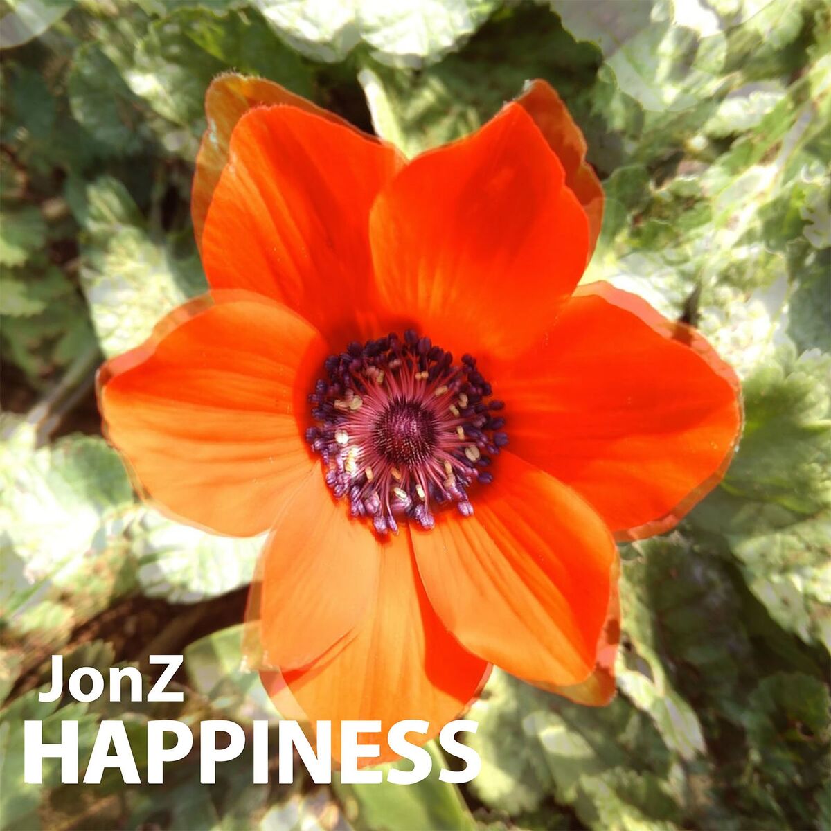 Album cover of Happiness