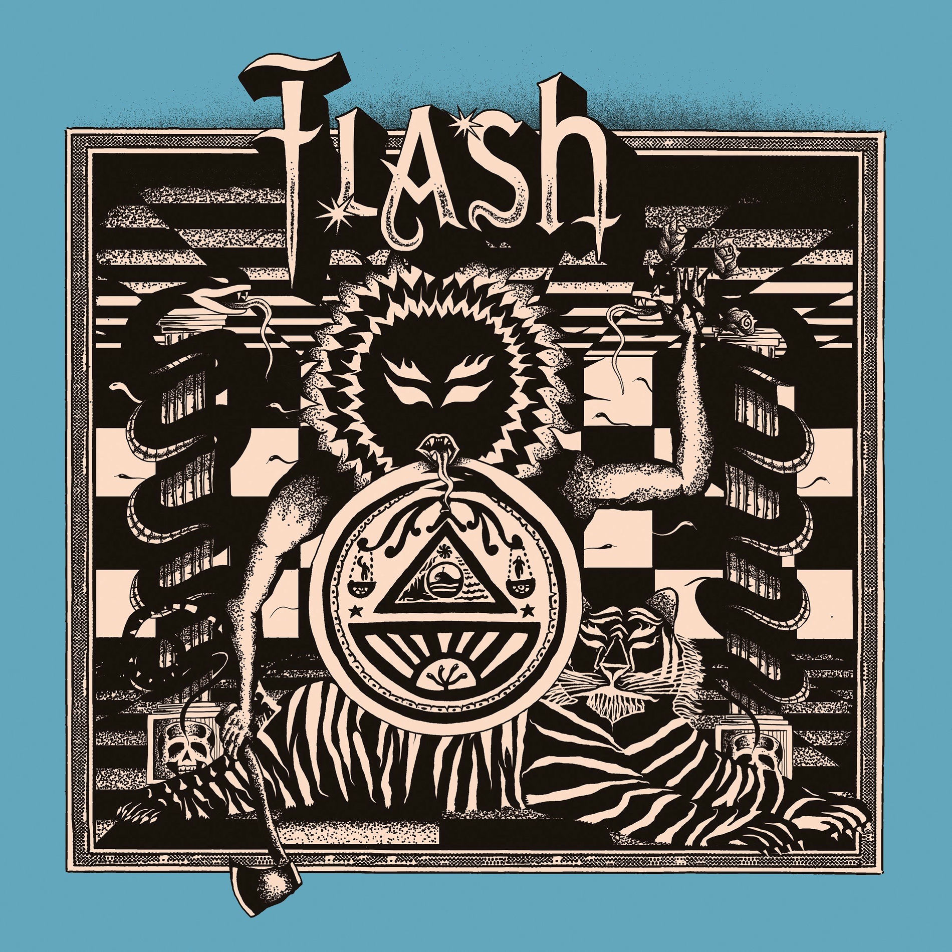 Album cover of Flash