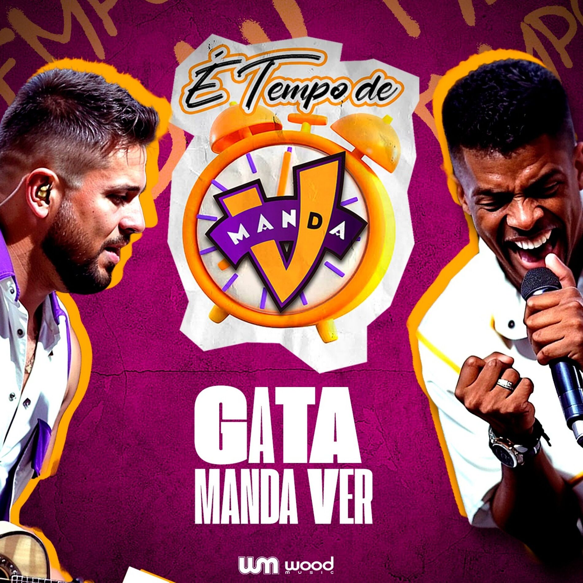 Album cover of É Tempo de Manda V: Gata Manda Ver