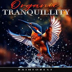 Cover of Organic Tranquillity