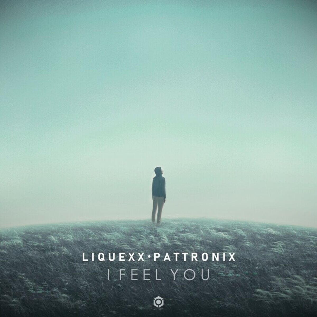 Album cover of I Feel You