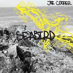 Cover of Seabird