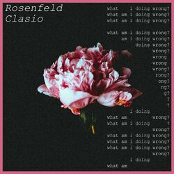 Cover of What Am I Doing Wrong?