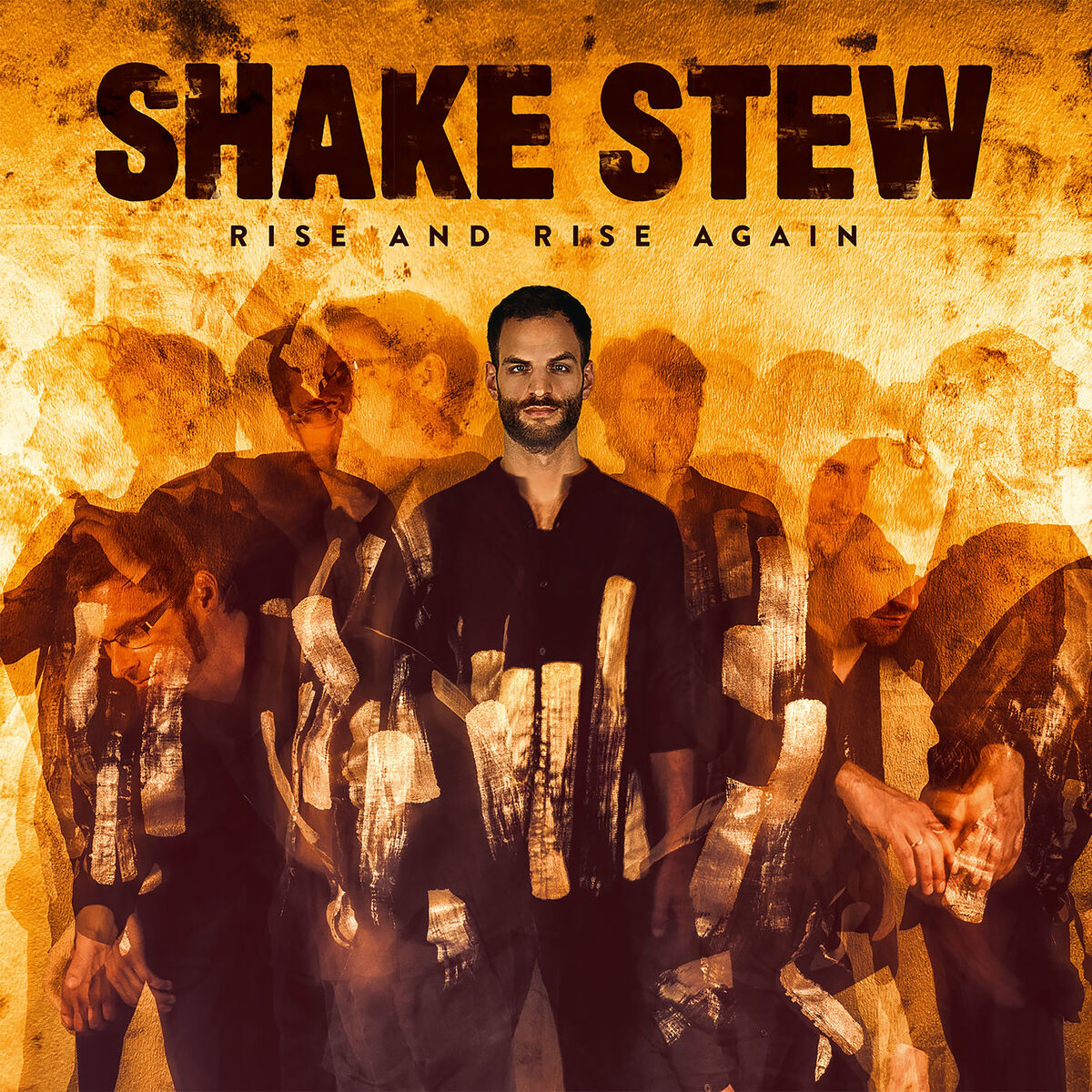 Album cover of Rise and Rise Again