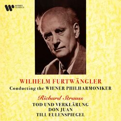 Cover of Strauss: Tod und Verklärung, Don Juan & Till Eulenspiegel (Remastered)