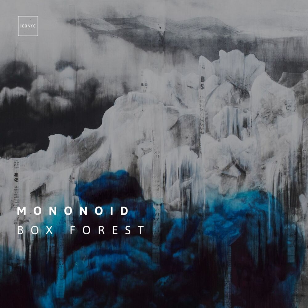 Picture of Box Forest