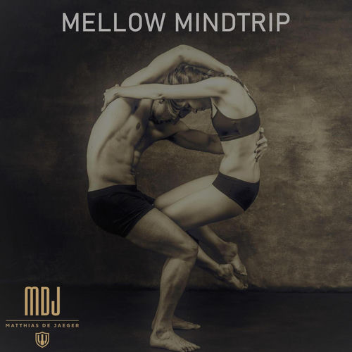 Mellow Mindtrip