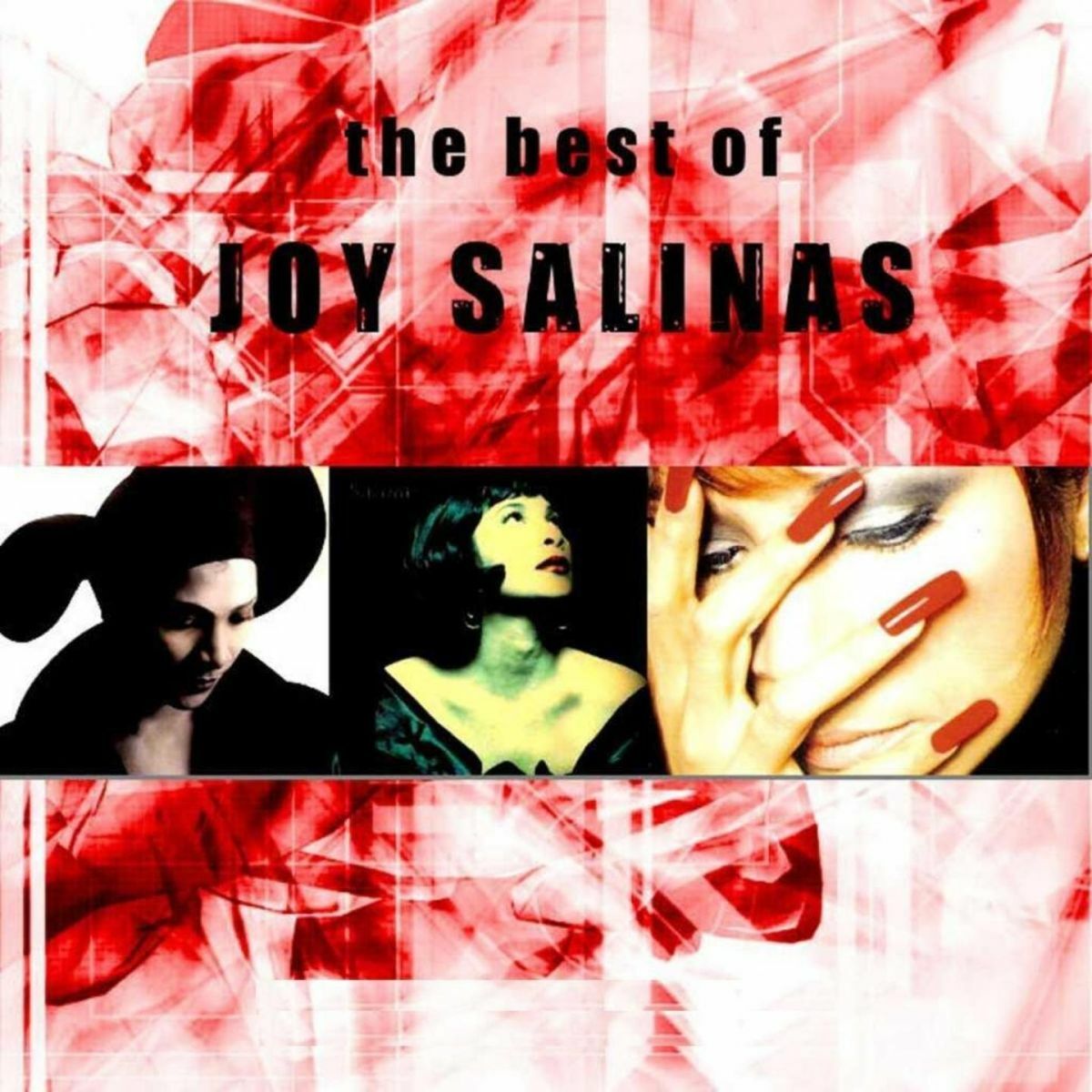 Album cover of The Best of Joy Salinas (Greatest Hits)