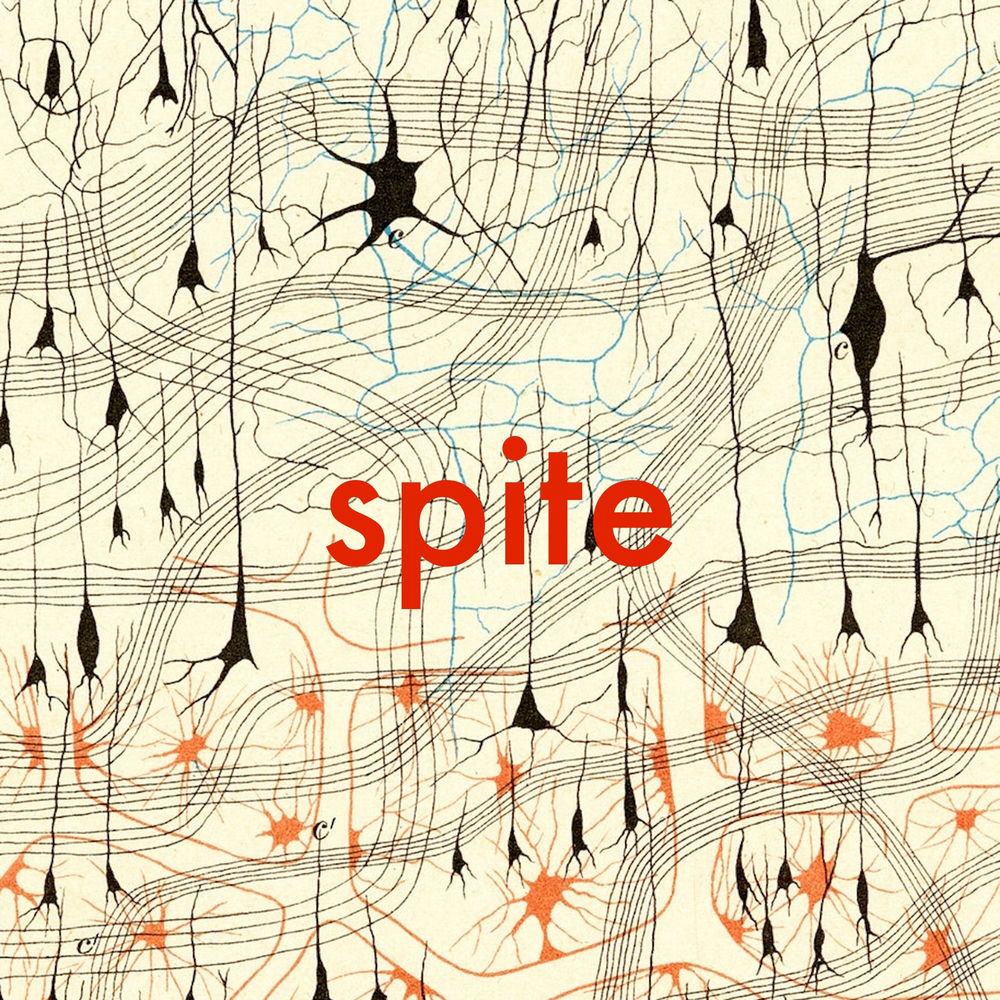 Album artwork for I'd Rather Drink with the Devil by Spite