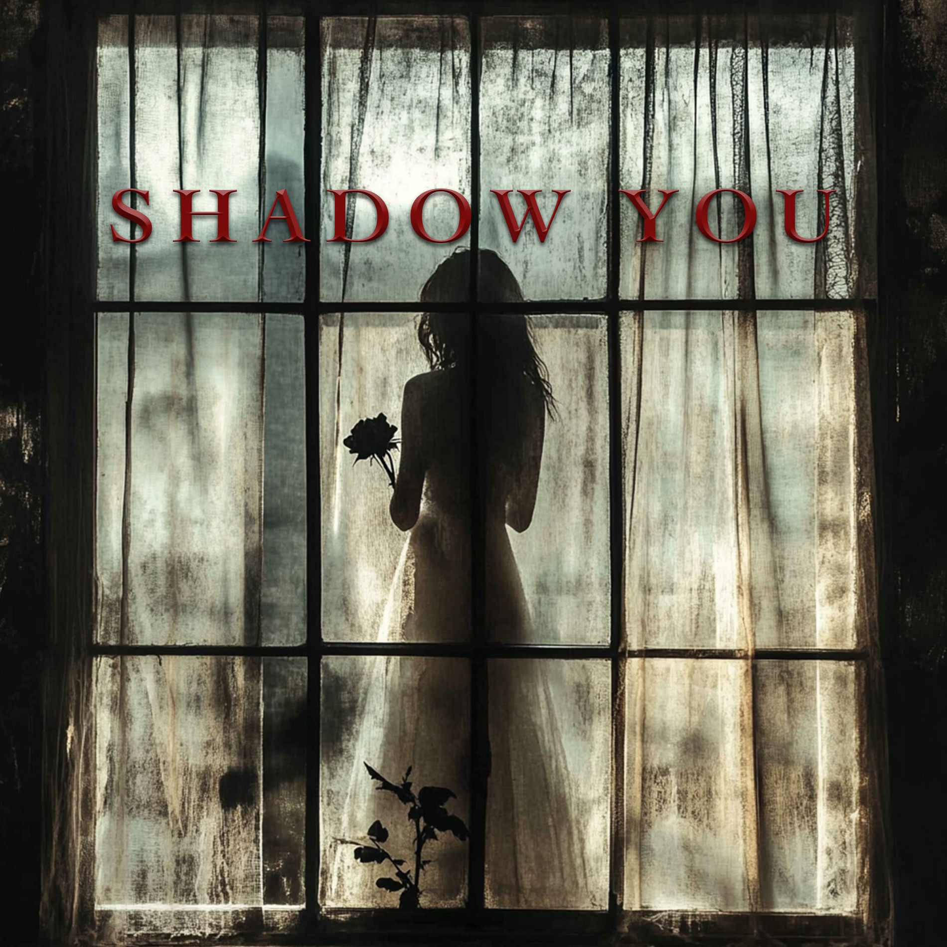 Album cover of Shadow You