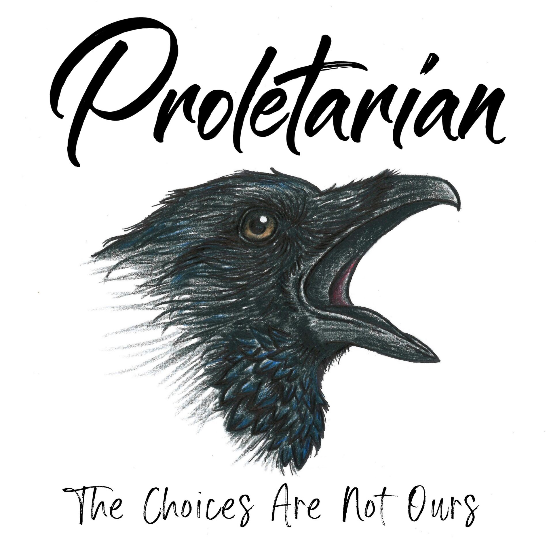 Album cover of The Choices Are Not Ours