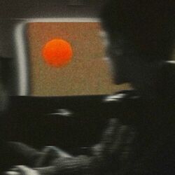 Cover of window