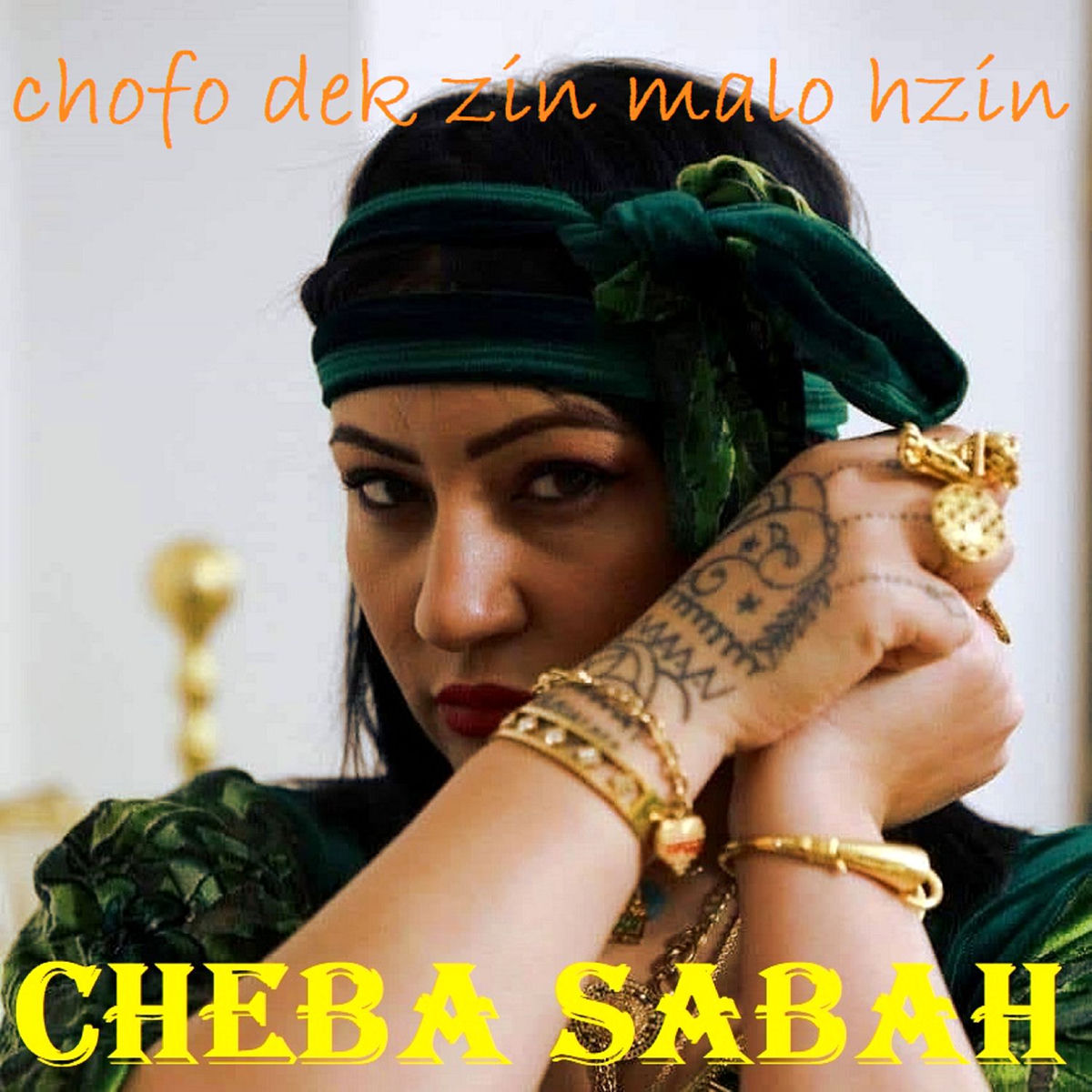 Album cover of Chofo dek zin malo hzin