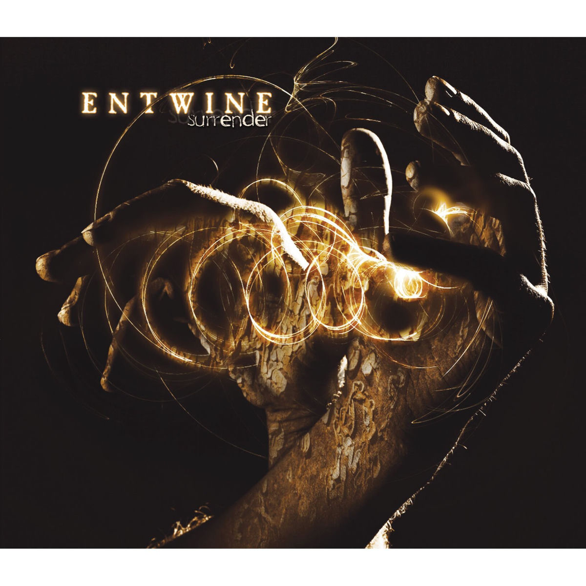 Album cover of Surrender