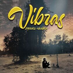 Cover of Vibras