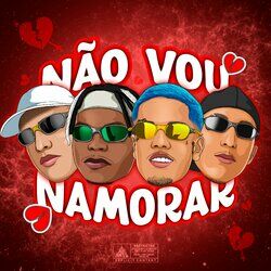 Cover of Não Vou Namorar