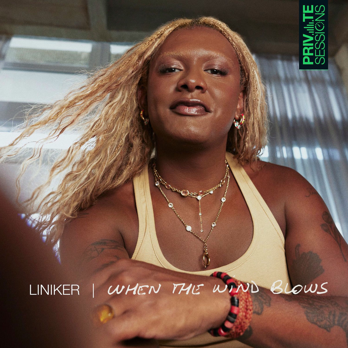 Album cover of When The Wind Blows