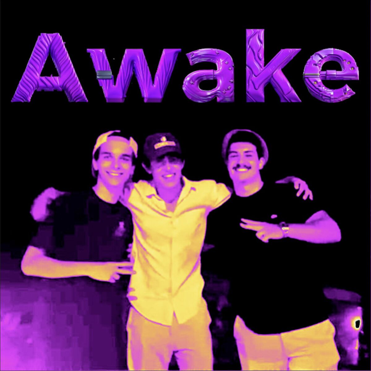 Album cover of Awake