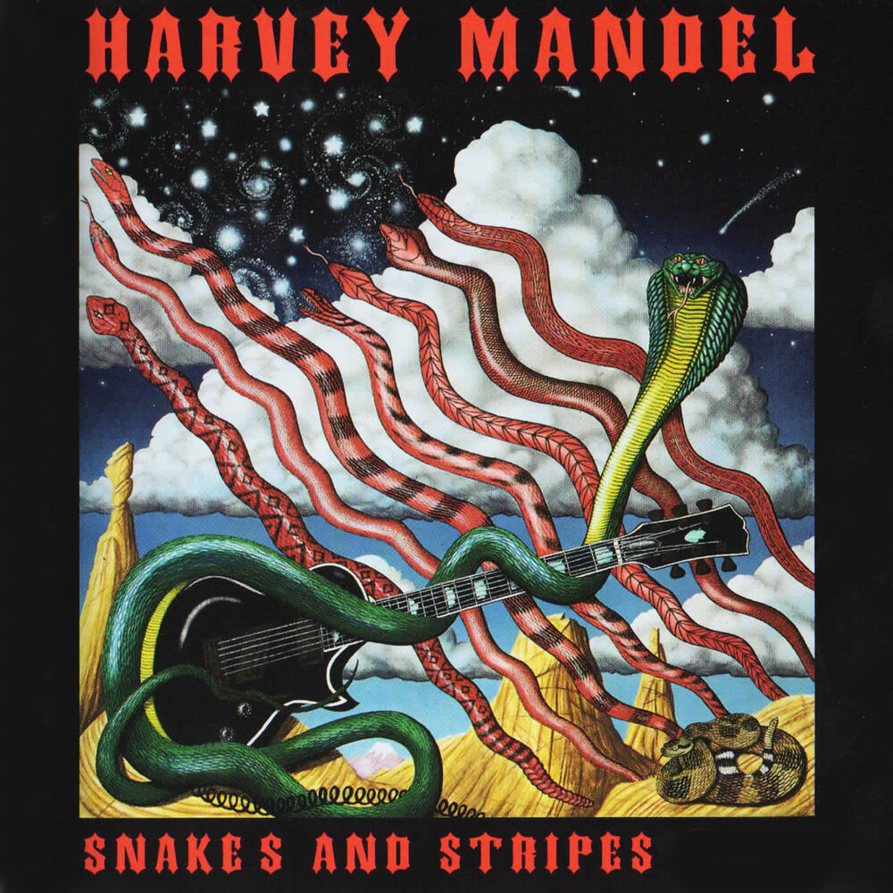 Picture of Snakes and Stripes