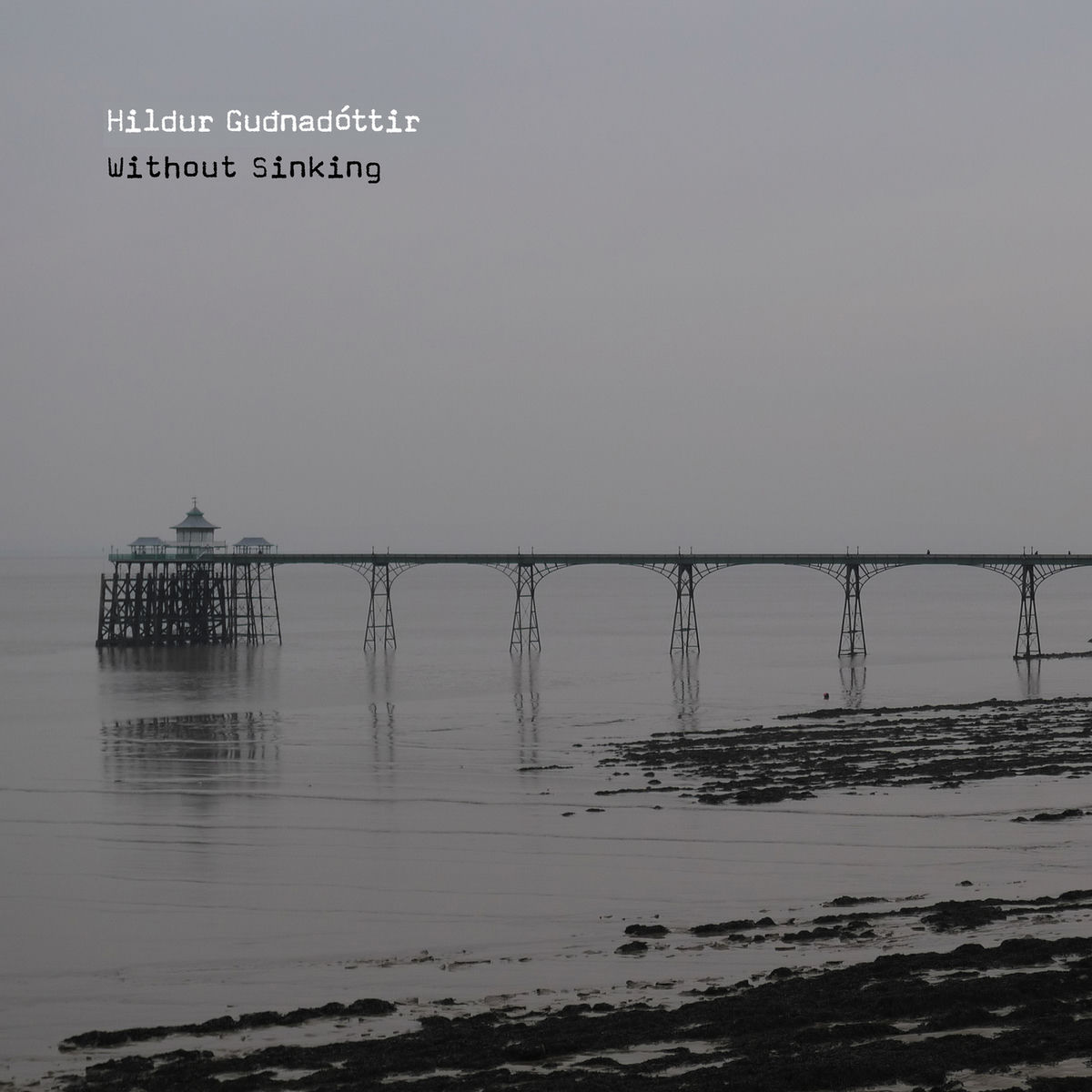 Album picture of Without Sinking
