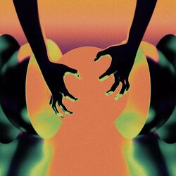Cover of comes with the damage