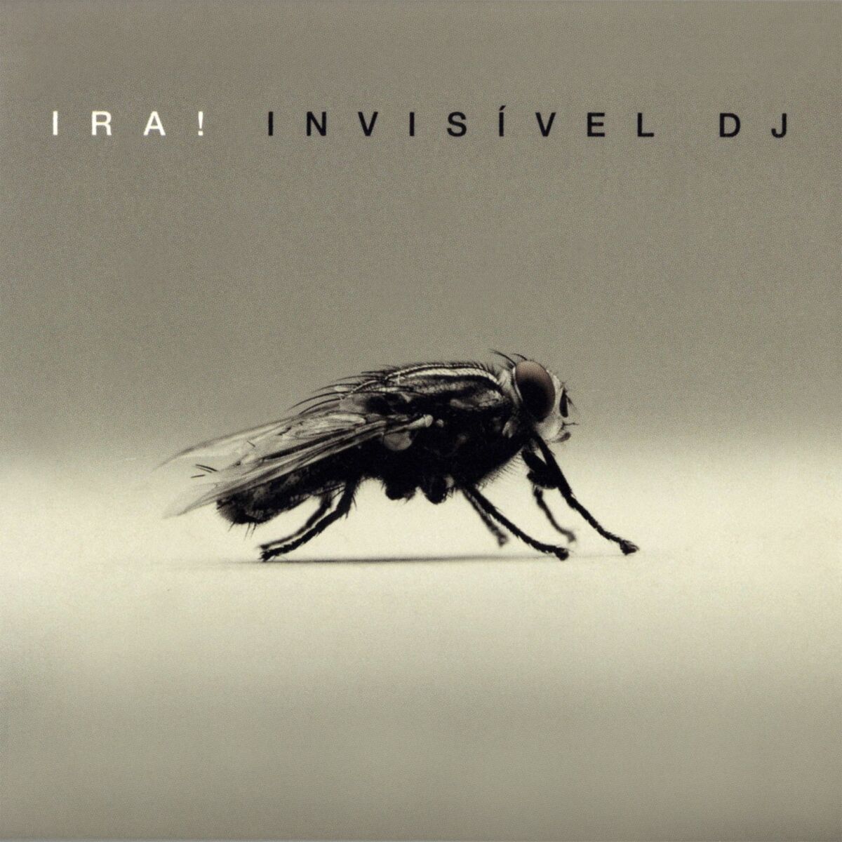 Album cover of Invisível DJ