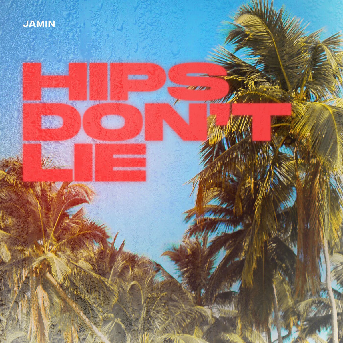 hips-dont-lie-album-cover-shakira-reveals-hips-don-t-lie-was-a
