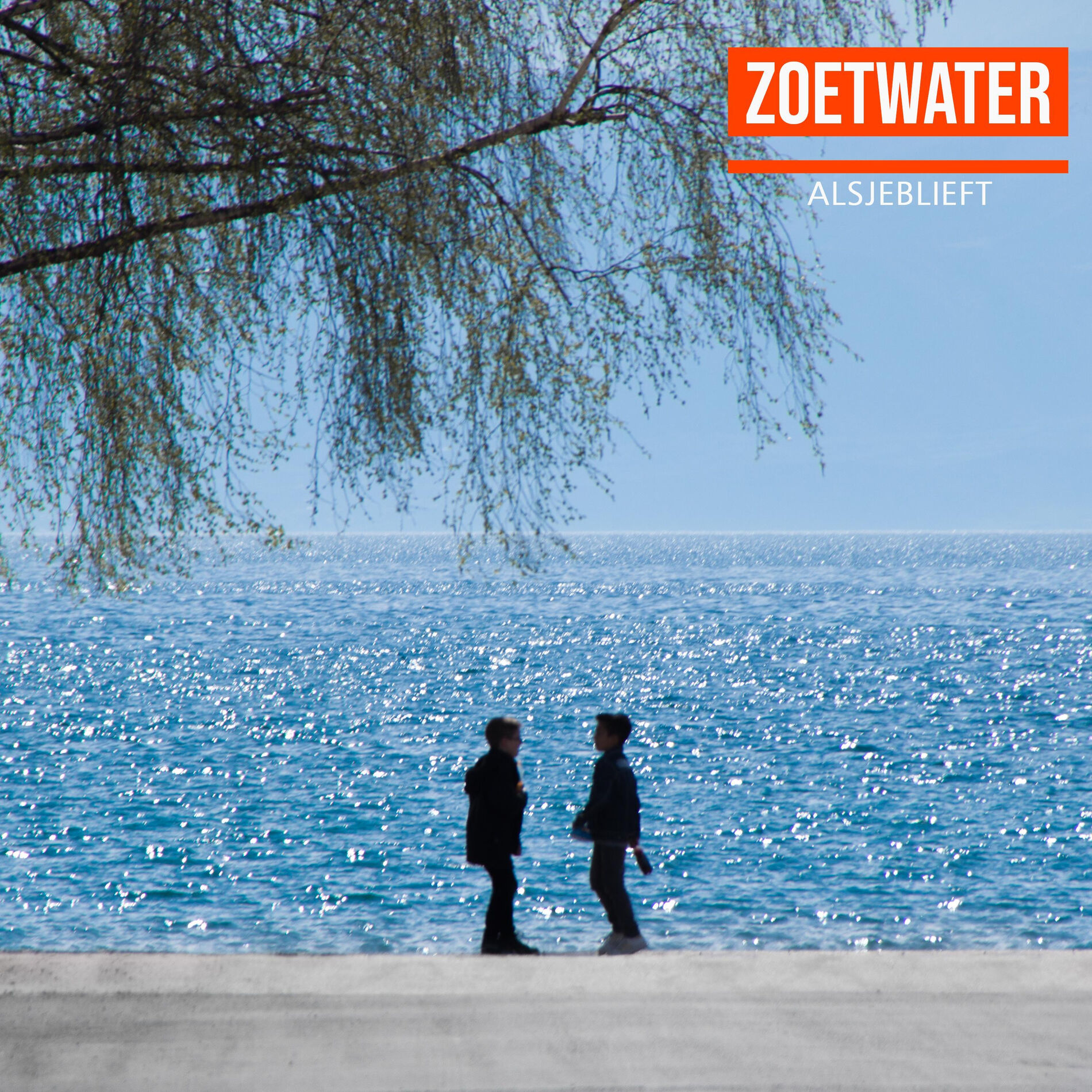 Album cover of Alsjeblieft